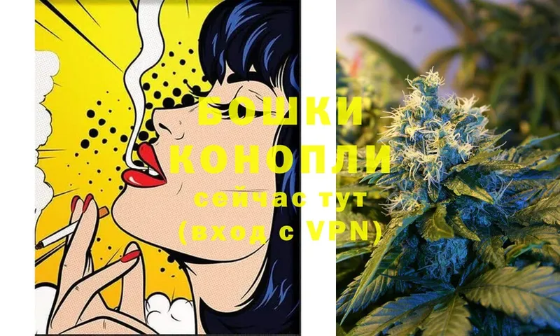 Бошки Шишки LSD WEED  Мураши 